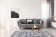 Monaco Faded Contemporary Rug (V1) in living room www.homelooks.com