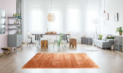 Puffy Shimmer Terracotta Shaggy Rug in living room www.homelooks.com
